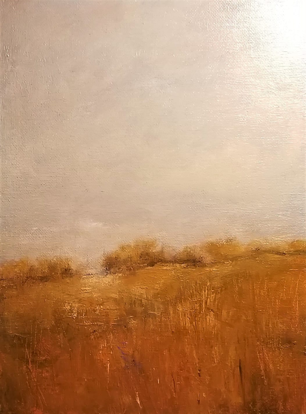 A golden-hued landscape, yellow fields and a pale taupe sky.