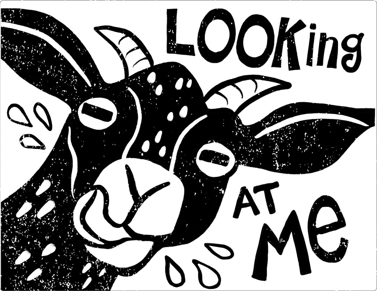 Page 7 and 8: Closeup of a goat looking at the camera and licking its chops. The words "LOOKING AT ME"
