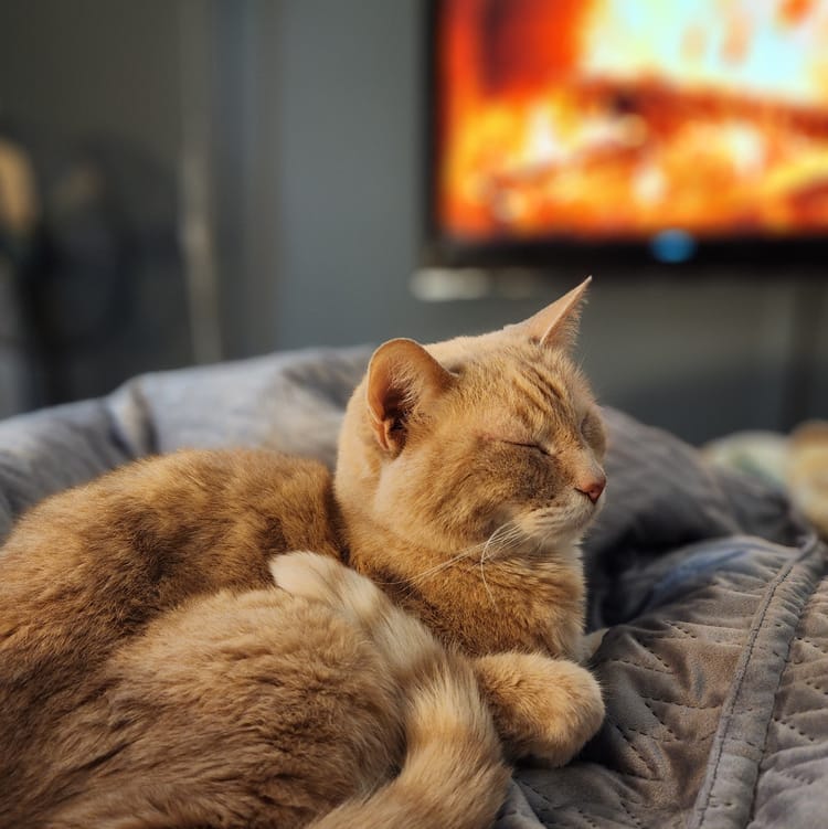 Get cozy by the fire