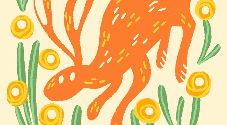 Bunnies (so many bunnies)